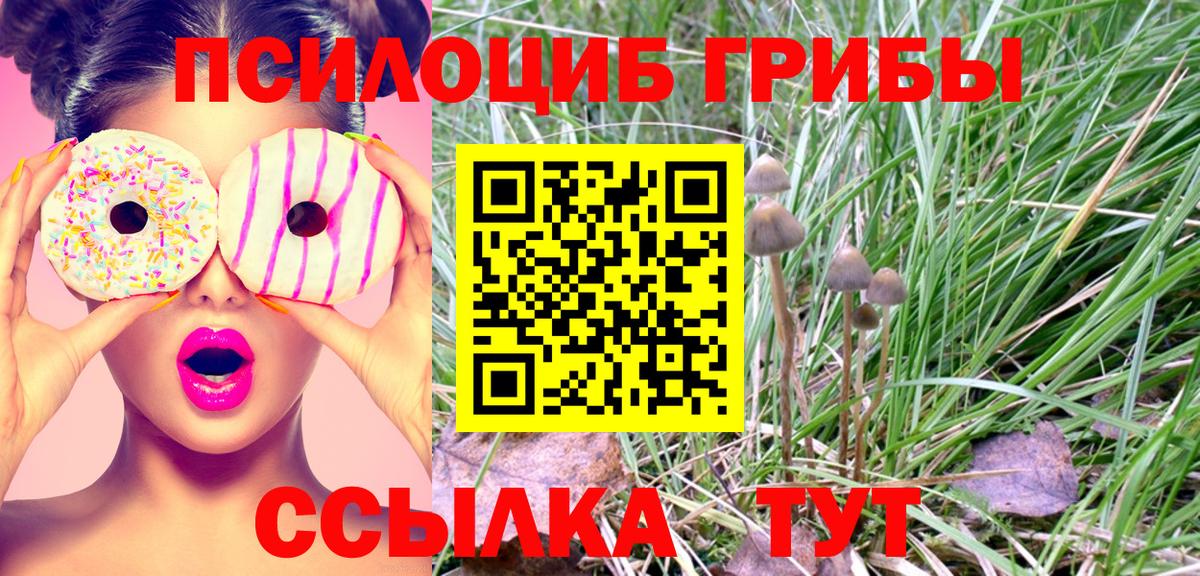 Псилоцибиновые грибы Psilocybine cubensis  Галлюциногенные грибы Cubensis  Вход с VPN  Великие Луки 