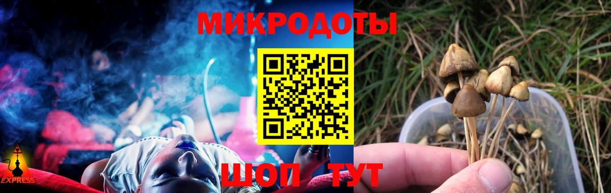 Псилоцибиновые грибы Psilocybine cubensis Великие Луки