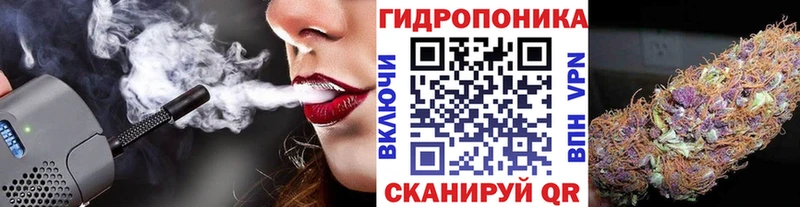 Бошки Шишки SATIVA & INDICA  как найти закладки  Великие Луки 